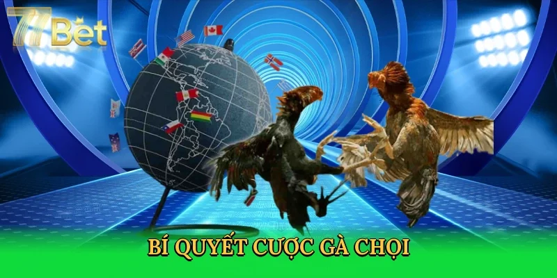 bi-quyet-cuoc-ga-choi-4