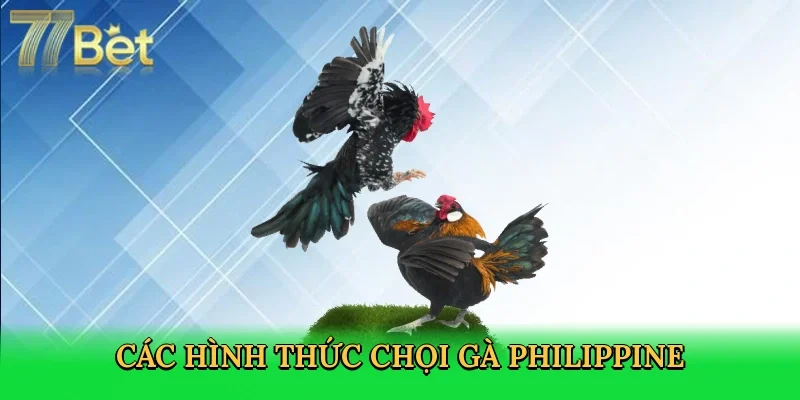 cac-hinh-thuc-choi-ga-philippine-3