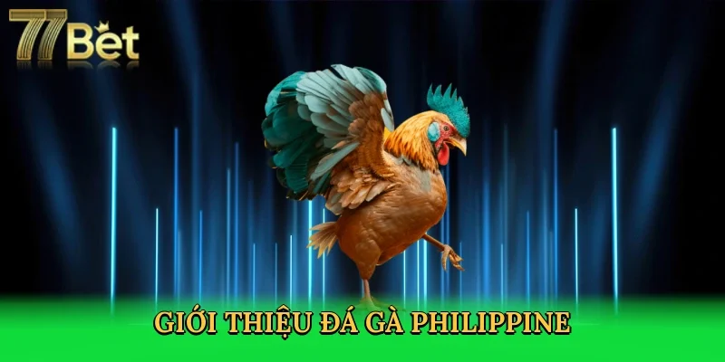 gioi-thieu-da-ga-philippine-2