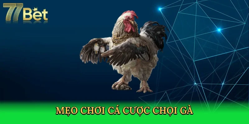 meo-choi-ca-cuoc-choi-ga-4