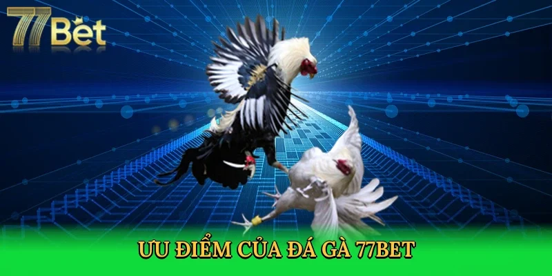 uu-diem-cua-da-ga-77bet-3