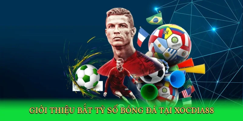 Giới thiệu Bắt tỷ số bóng đá tại Xocdia88