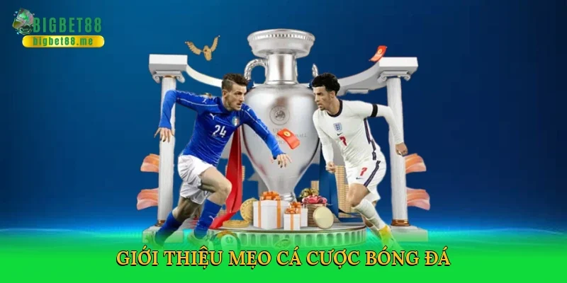 Giới thiệu Mẹo cá cược bóng đá