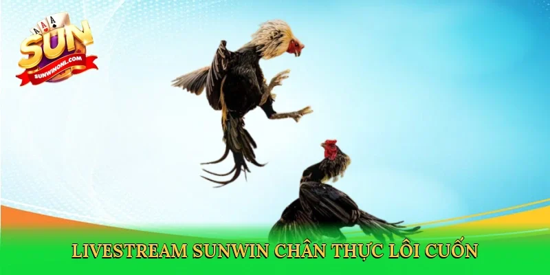 Livestream Sunwin chân thực lôi cuốn