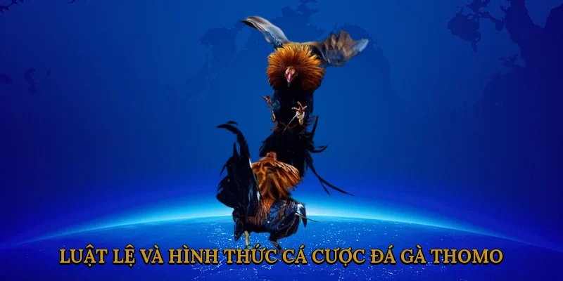 luat-le-va-hinh-thuc-ca-cuoc-da-ga-thomo-2