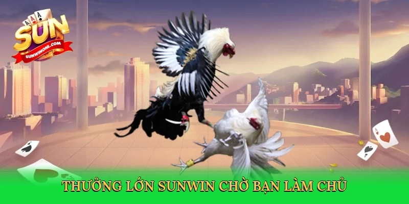Thưởng lớn Sunwin chờ bạn làm chủ